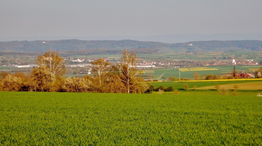Blick zum Schönbuchrand