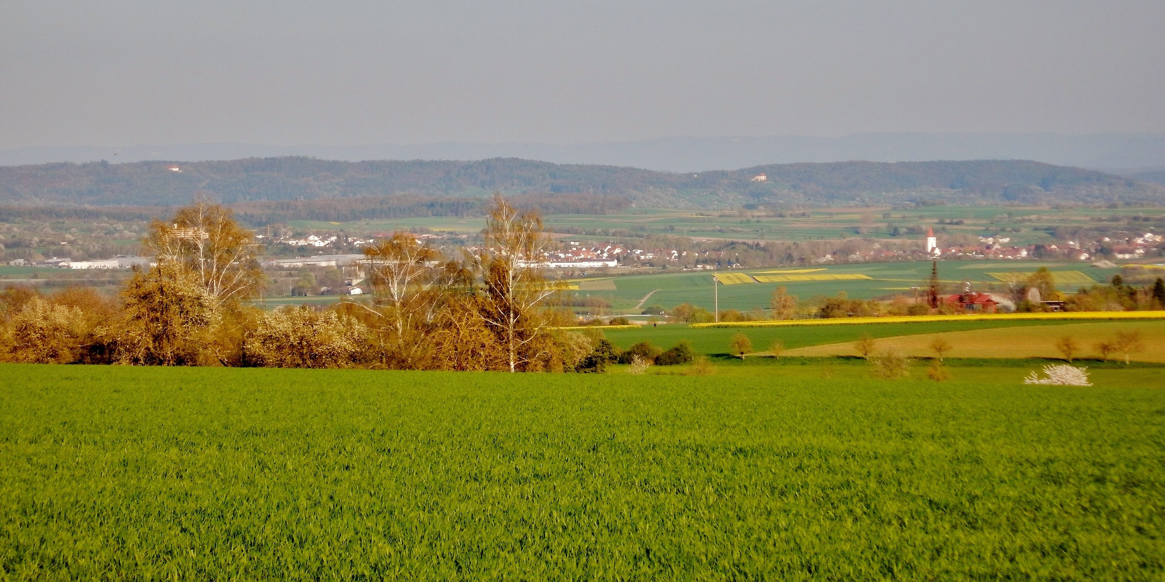 A green field with trees and a distant town.