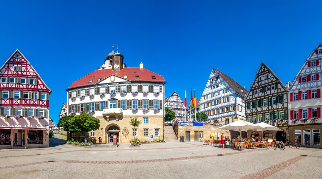 ํค๋ ๋ฒ ๋ฅด๊ทธ