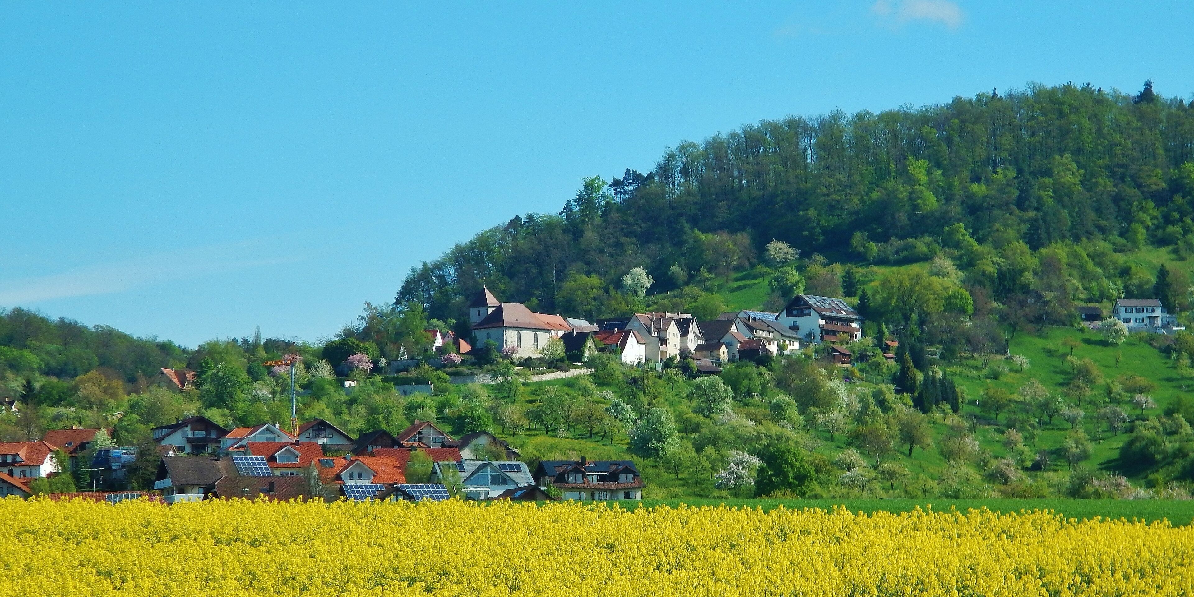 A village with houses on a hillside, surrounded by fields of yellow flowers.