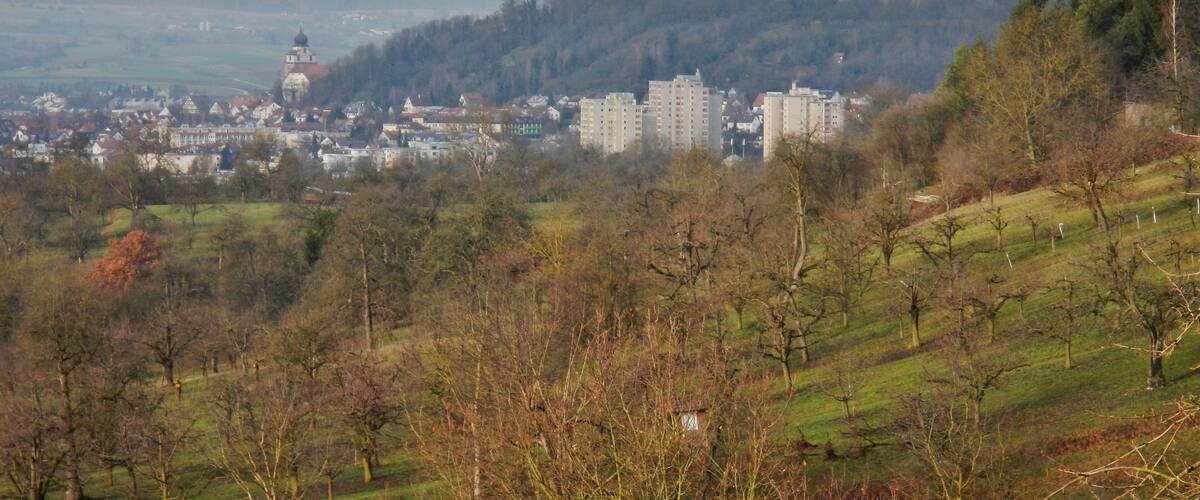A town with a prominent church tower, surrounded by hills and sparse trees.