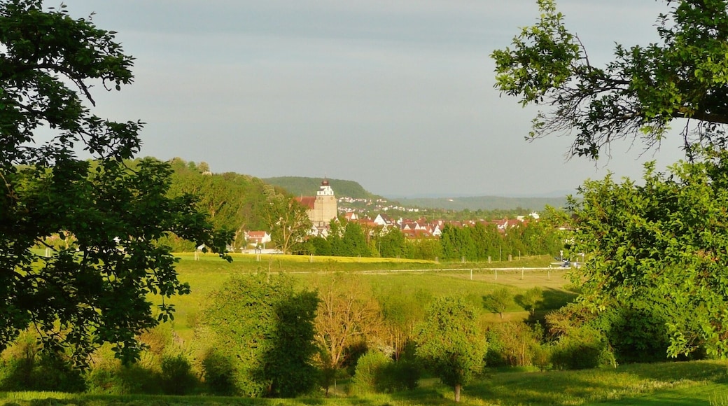 Stiftskirche Herrenberg