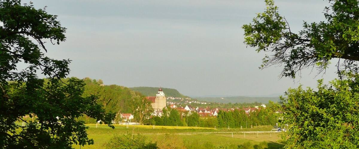 Stiftskirche Herrenberg
