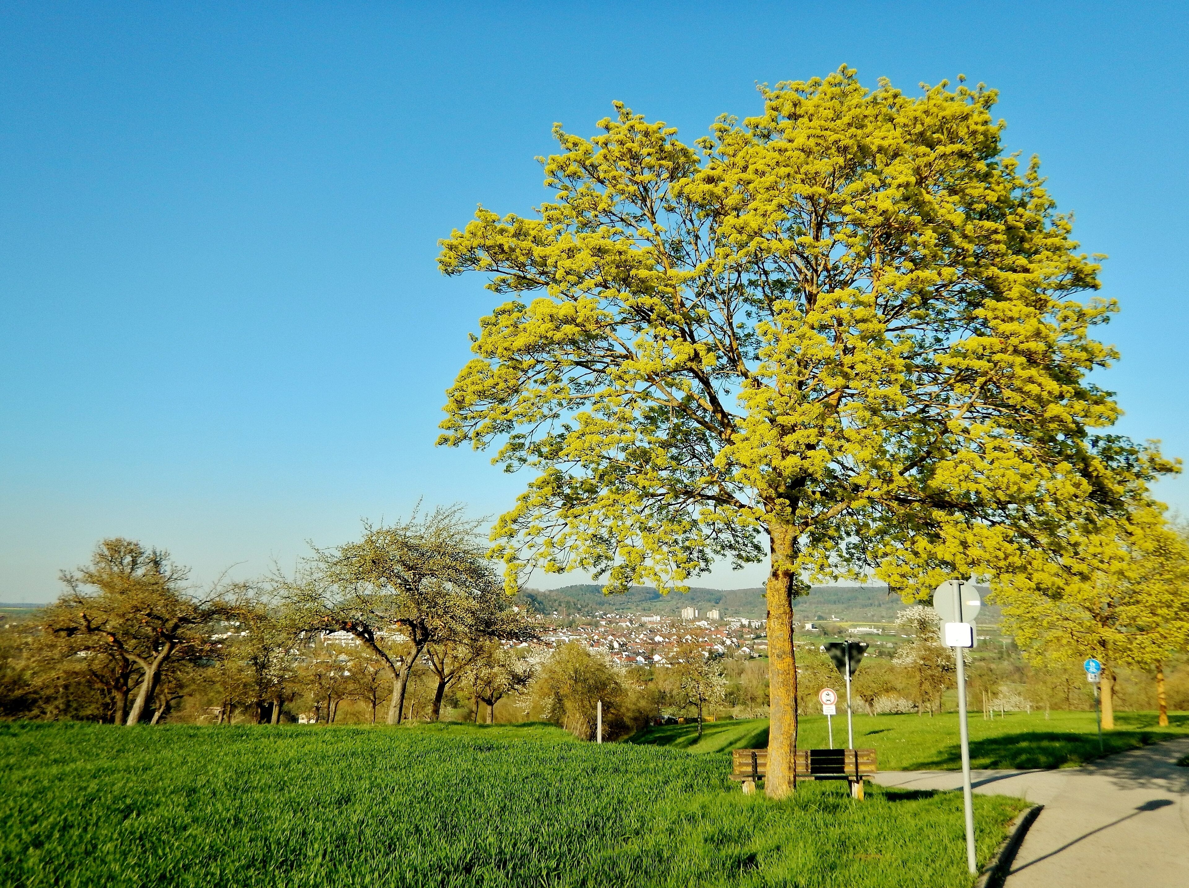 Sommerlicher Tag im April