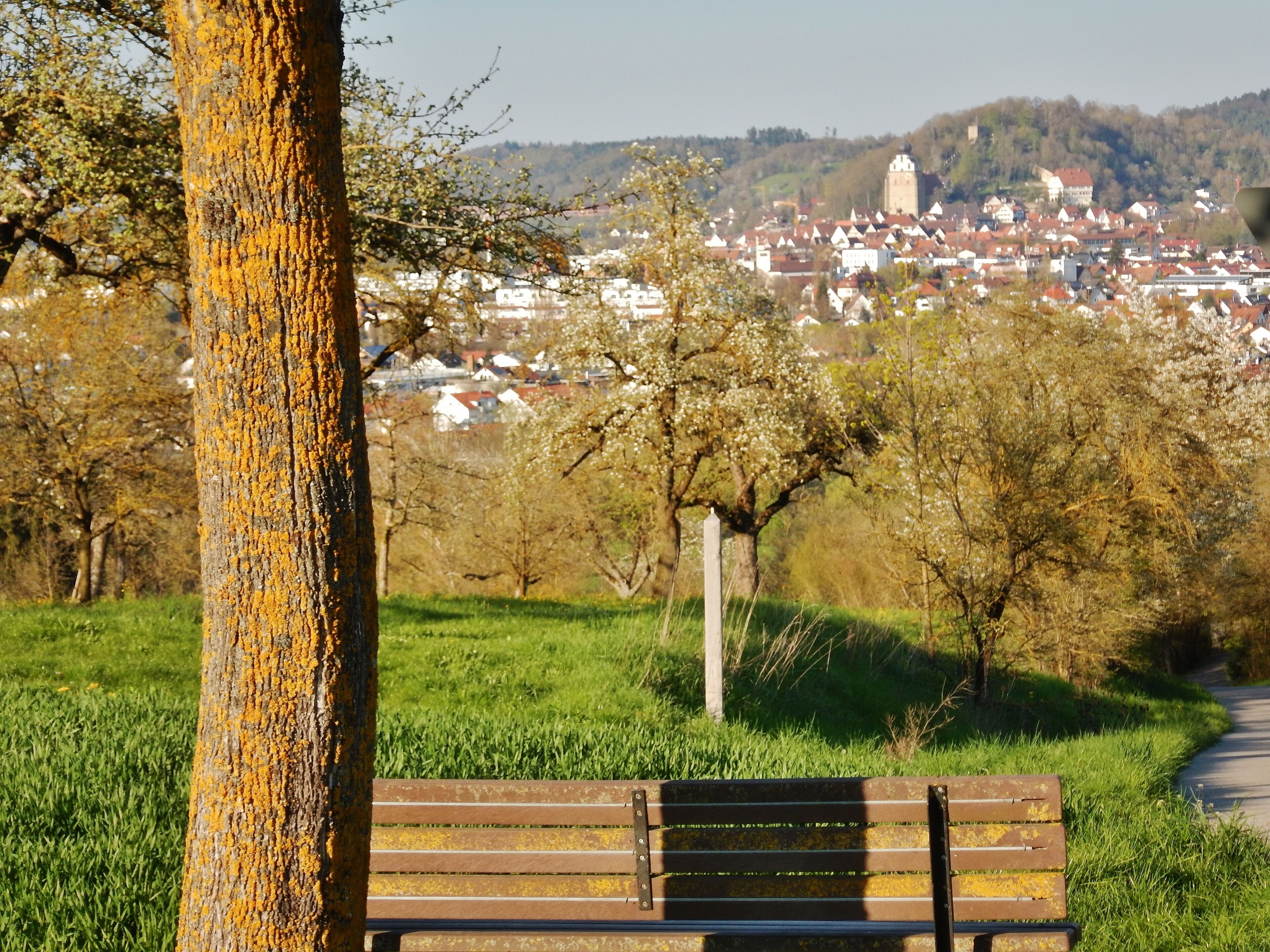 Blick nach Herrenberg mit Stiftskirche und Schlossberg
