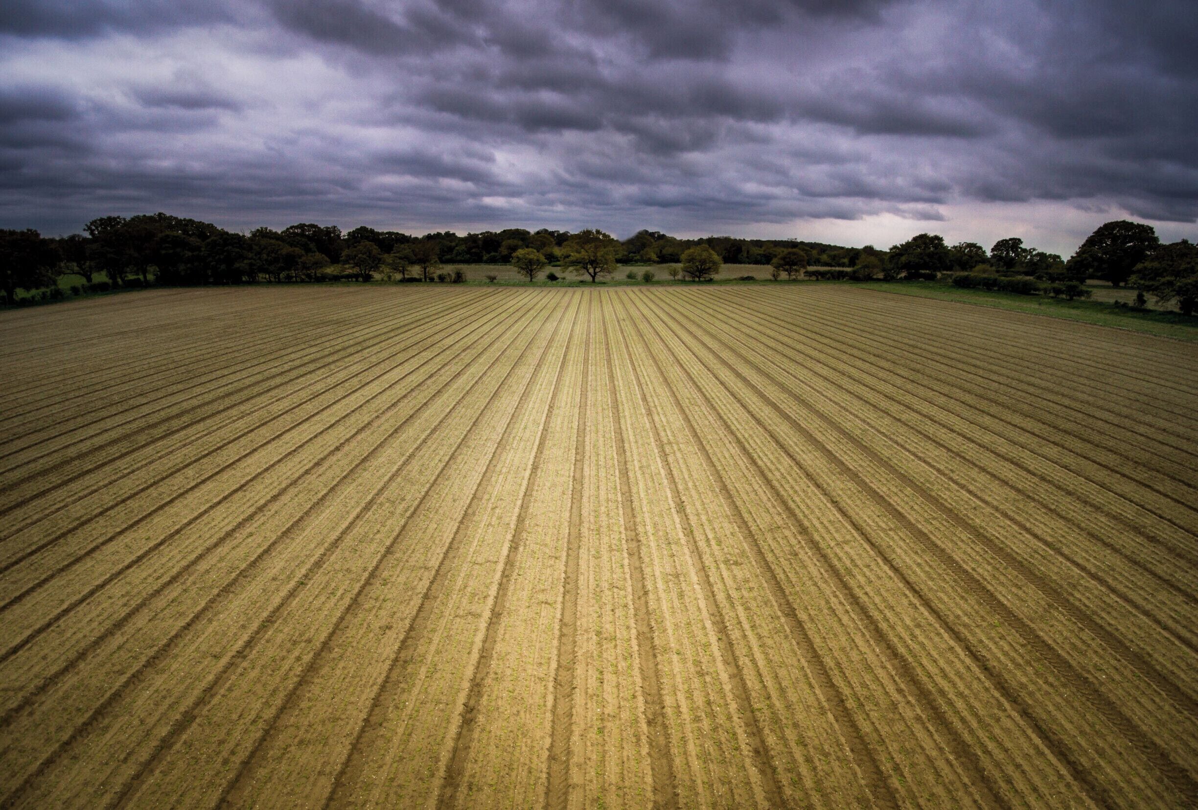 A nicely ploughed field