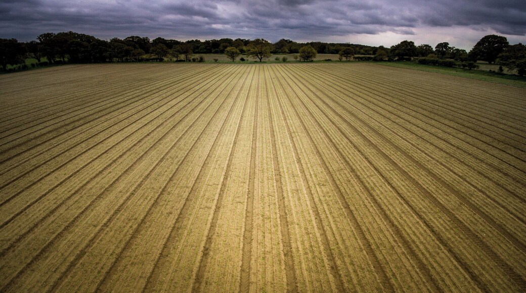 A nicely ploughed field