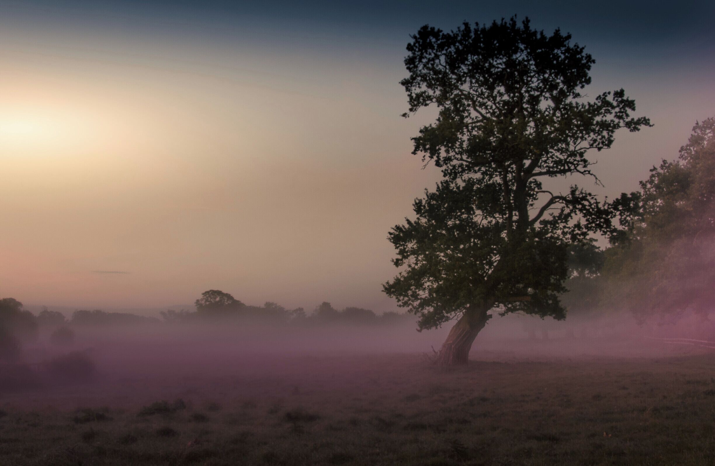 Early morning mist near home.