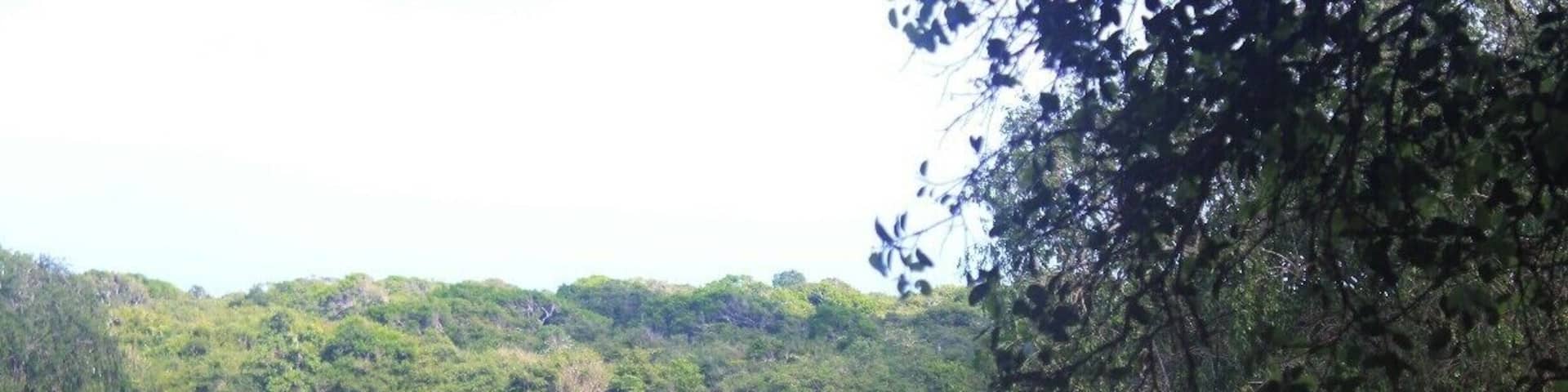 Kumana national park is a great place to see elephants and take close ups of them. Due to its wealth in variety of birds it is also called as Kumana Birds Sanctuary. This was the greatest day of our road trip.