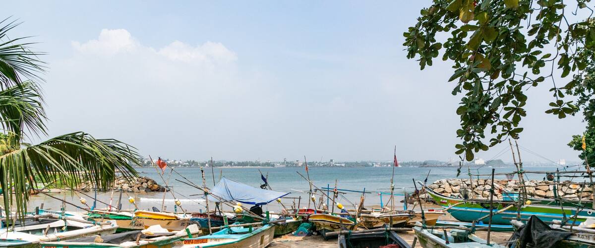 Une plage où de nombreux petits bateaux sont amarrés le long du rivage.