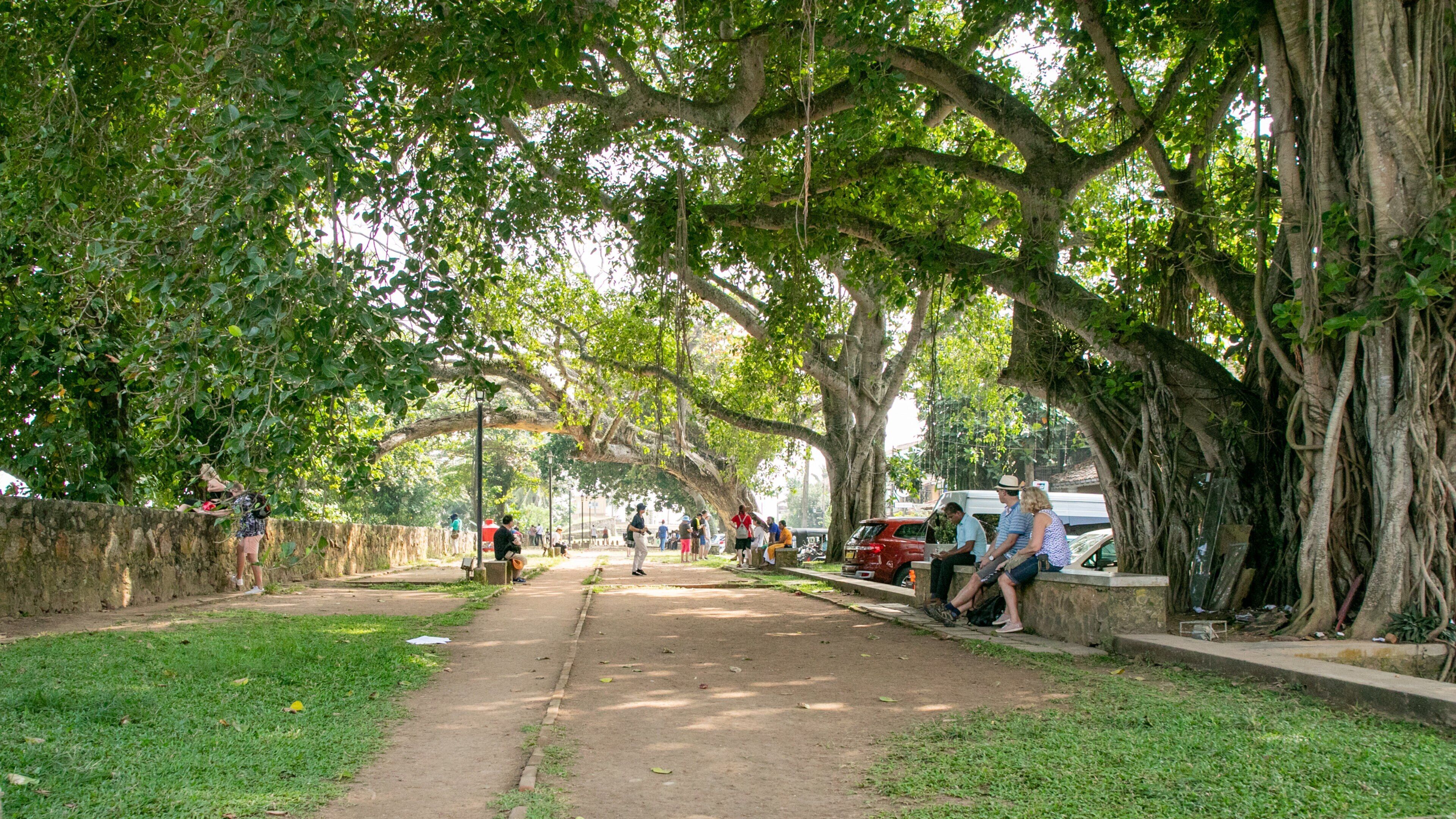 Dutch Fort showing a garden