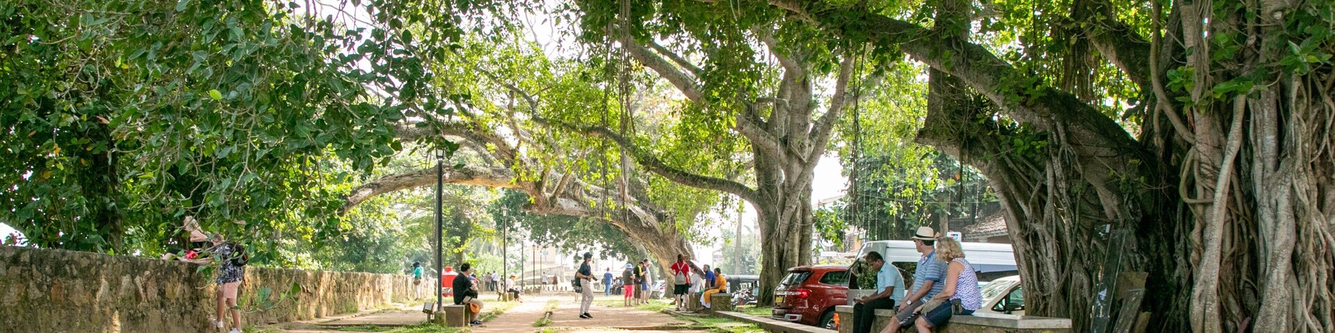 Um caminho arborizado com pessoas caminhando e sentadas em bancos.