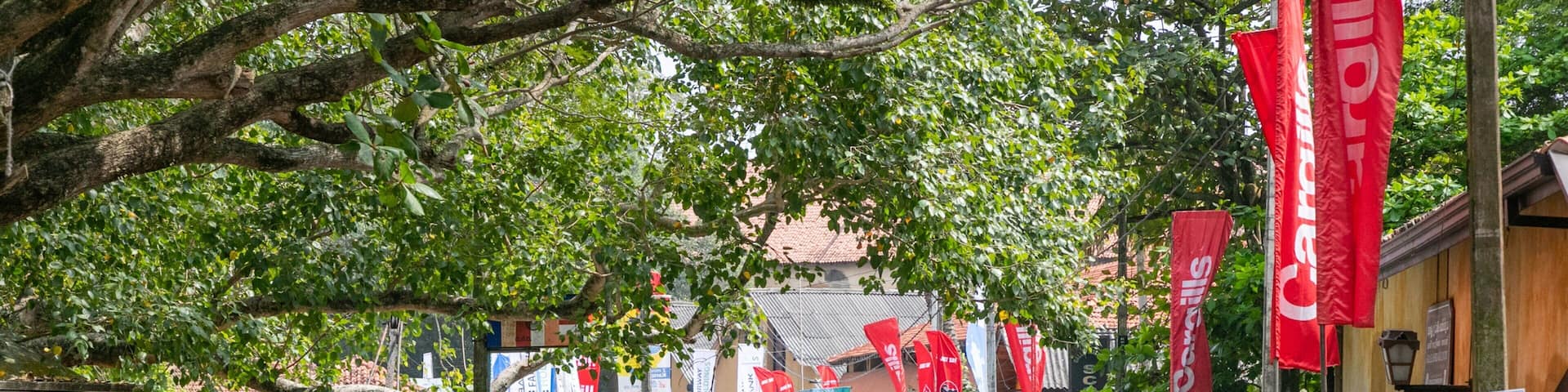 Dutch Fort featuring street scenes