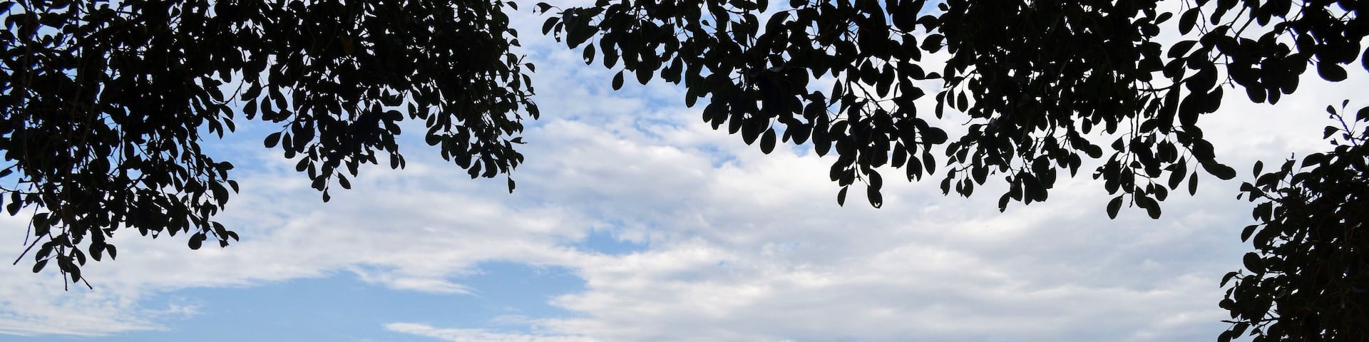 The long and imposing 11 domed stables built for the royal elephants are a part of the Zenana enclosure in Hampi. There are numerous beautiful carvings on each of the grand arches. There is a small secret (no longer) stairway in the central dome to climb to the roof but it's closed for visitors. This is also one of the few well preserved structures in Hampi.