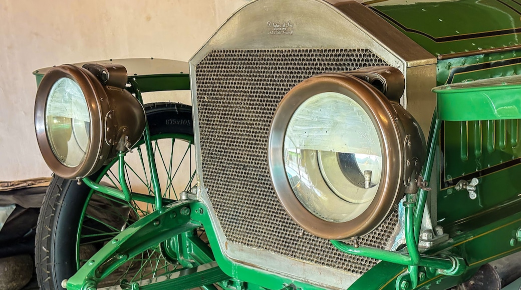 Vintage Collection of Classic Cars