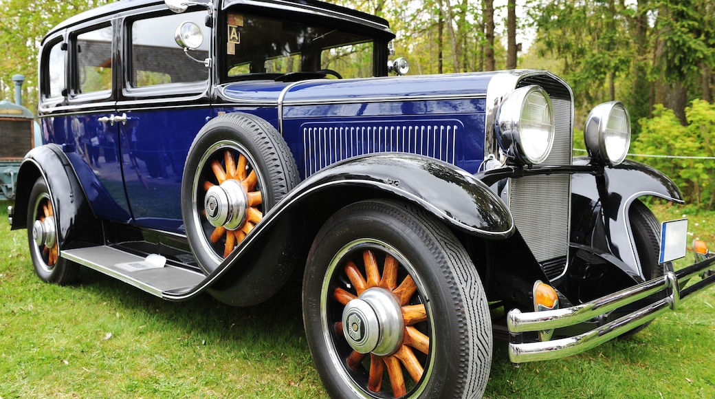 Vintage Collection of Classic Cars