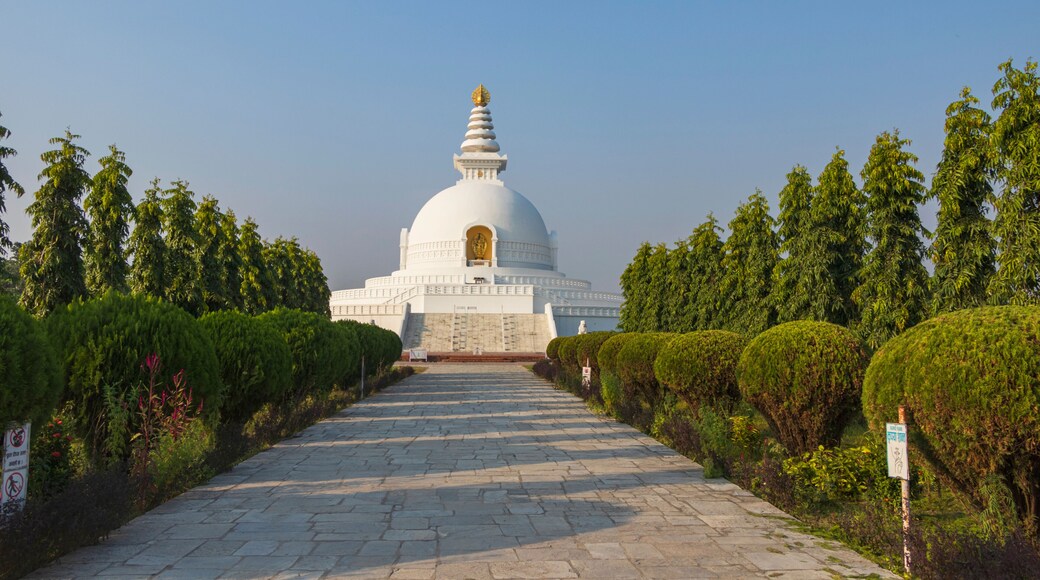 The World Peace Pagoda Nepal