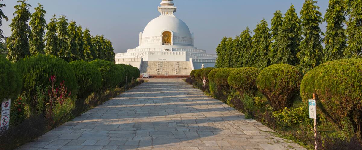 A white stupa with a golden top, surrounded by neatly trimmed bushes and a stone pathway leading to it.