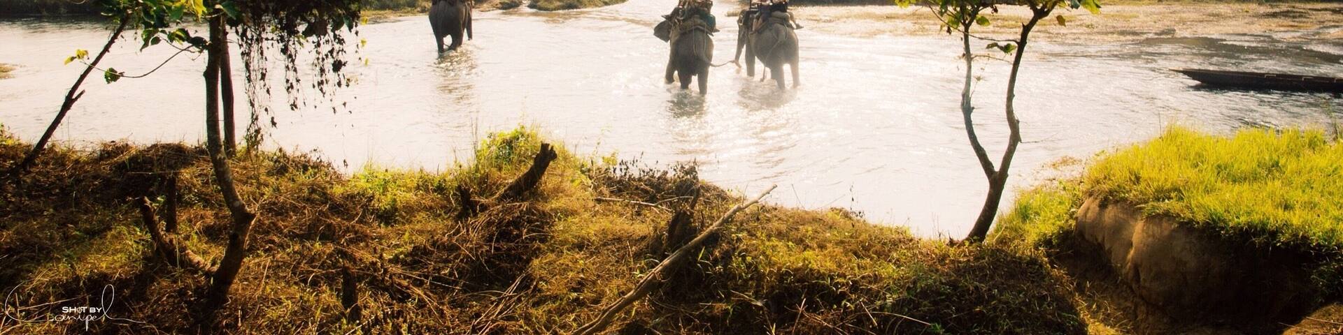 A Chitwan National Park scenery. Elephants crossing a jungle river in search for wilderniss wildlife. #nationalpark #nepal #troveon #elephants #river
