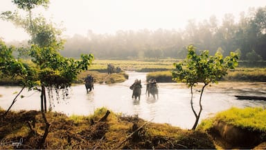 Làng Sauraha
