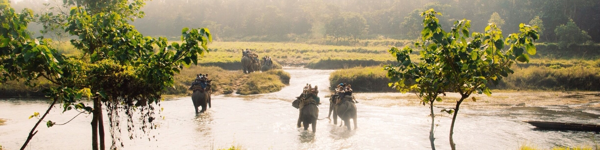A Chitwan National Park scenery. Elephants crossing a jungle river in search for wilderniss wildlife. #nationalpark #nepal #troveon #elephants #river