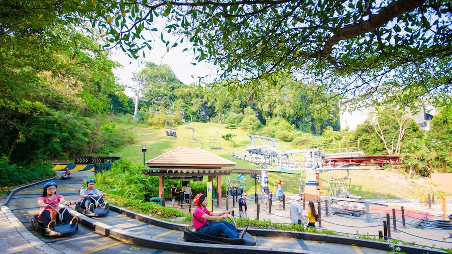 Skyline Luge Sentosa, singapore, spot