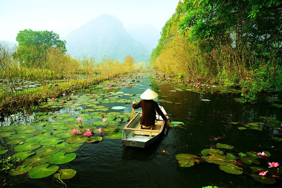 A person in a boat on a river surrounded by lily pads and lotus flowers.