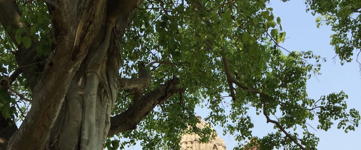 Wat Si Sawai from the side