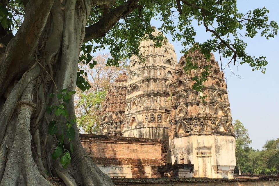 A large tree with extensive roots in front of a temple with intricate carvings.
