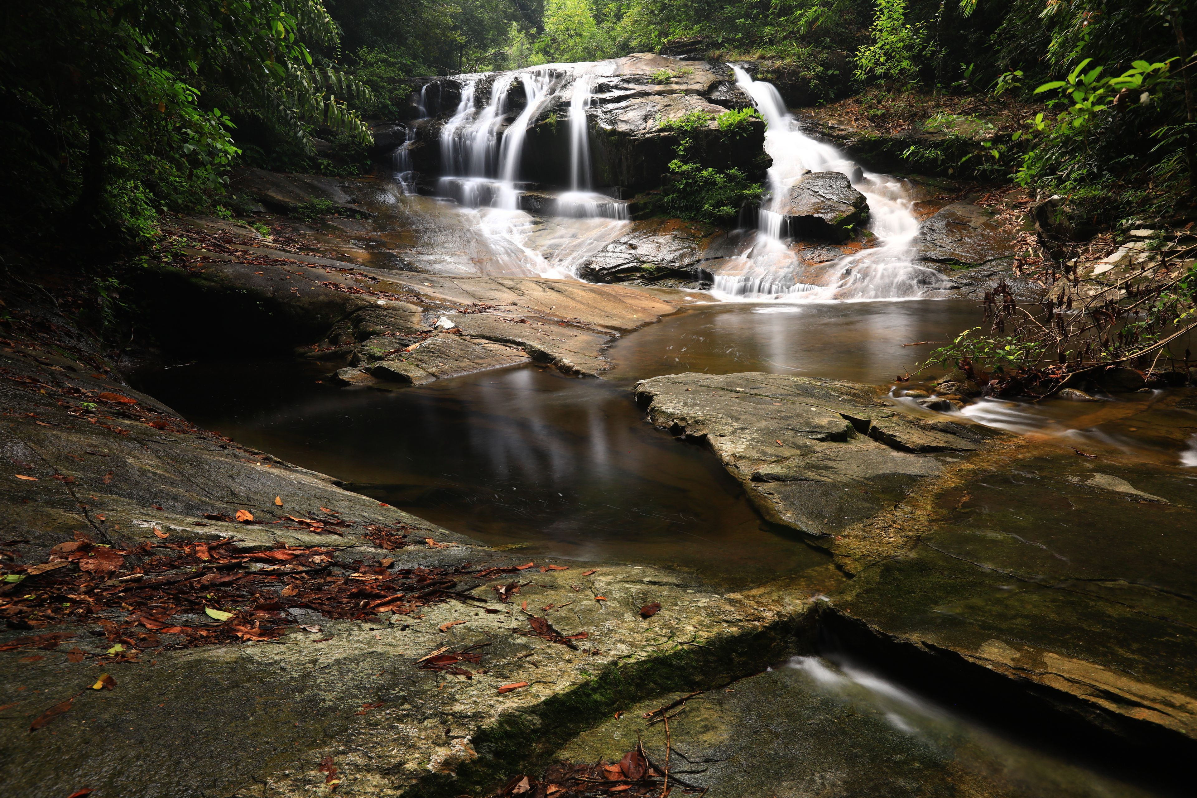 A waterfall cascading over rocks in a forested area.