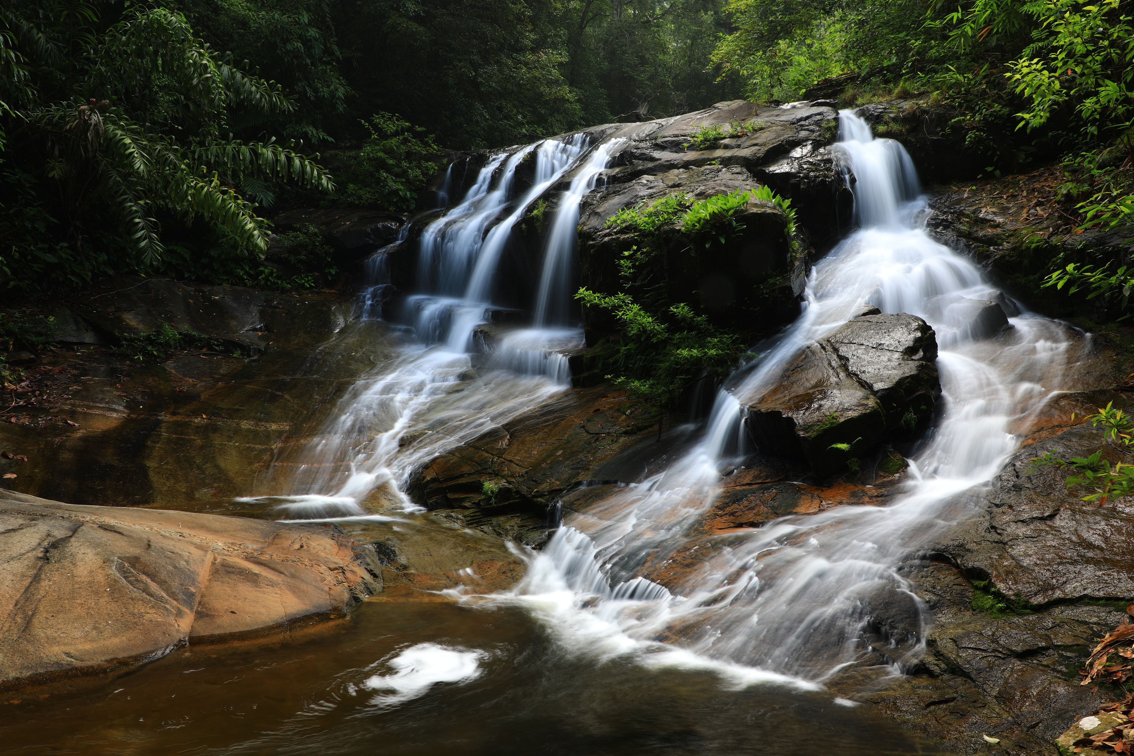 A waterfall cascading over rocks in a forested area.