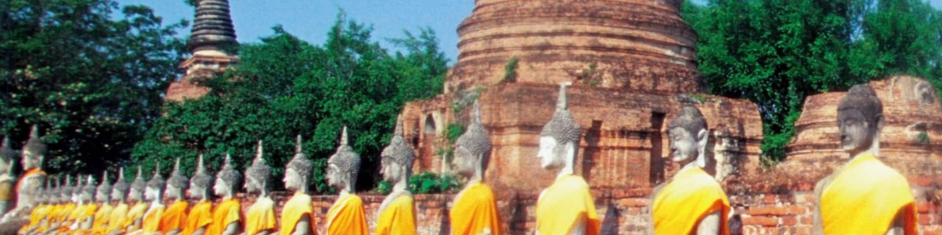 A row of seated monks in yellow robes against a brick wall, with a large rock formation and trees in the background.