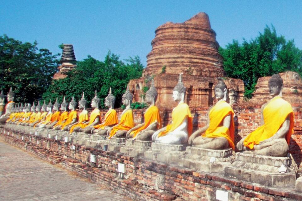 A row of seated monks in yellow robes against a brick wall, with a large rock formation and trees in the background.