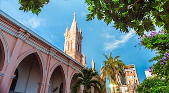 Da Nang Cathedral and beautiful tropical vegetation against the blue sky. This is one of the main architectural tourist attractions of Da Nang City.
