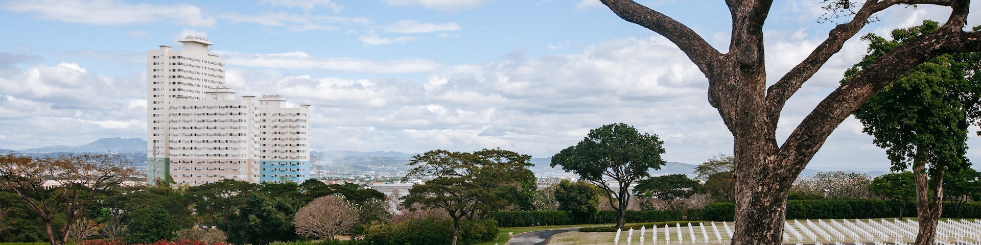 American Memorial Cemetery showing a cemetery