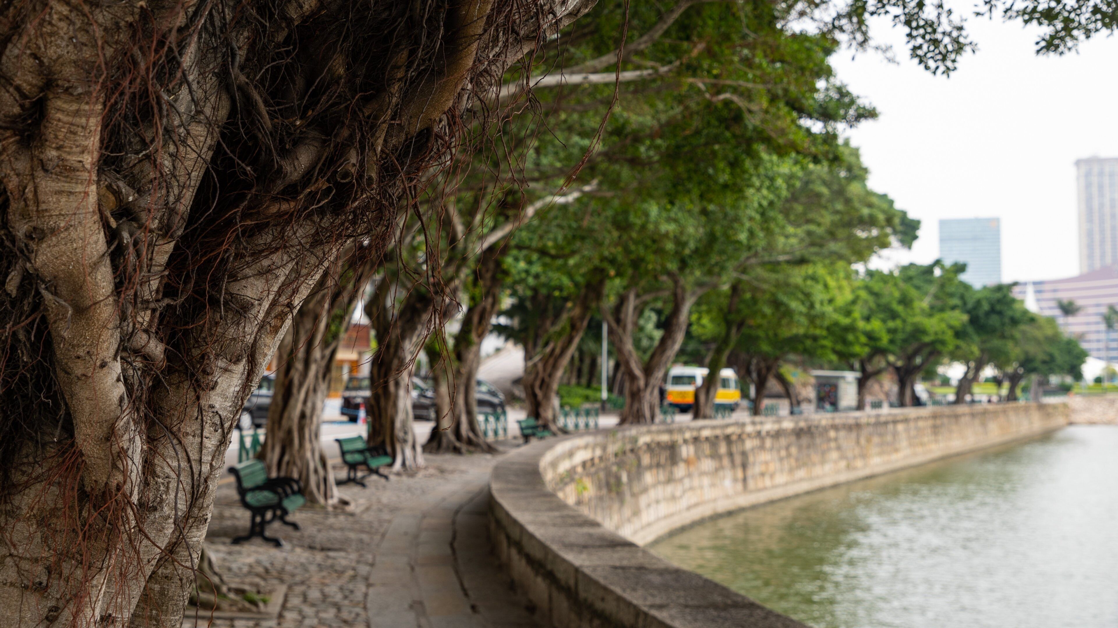 Avenida da República showing a river or creek and a garden
