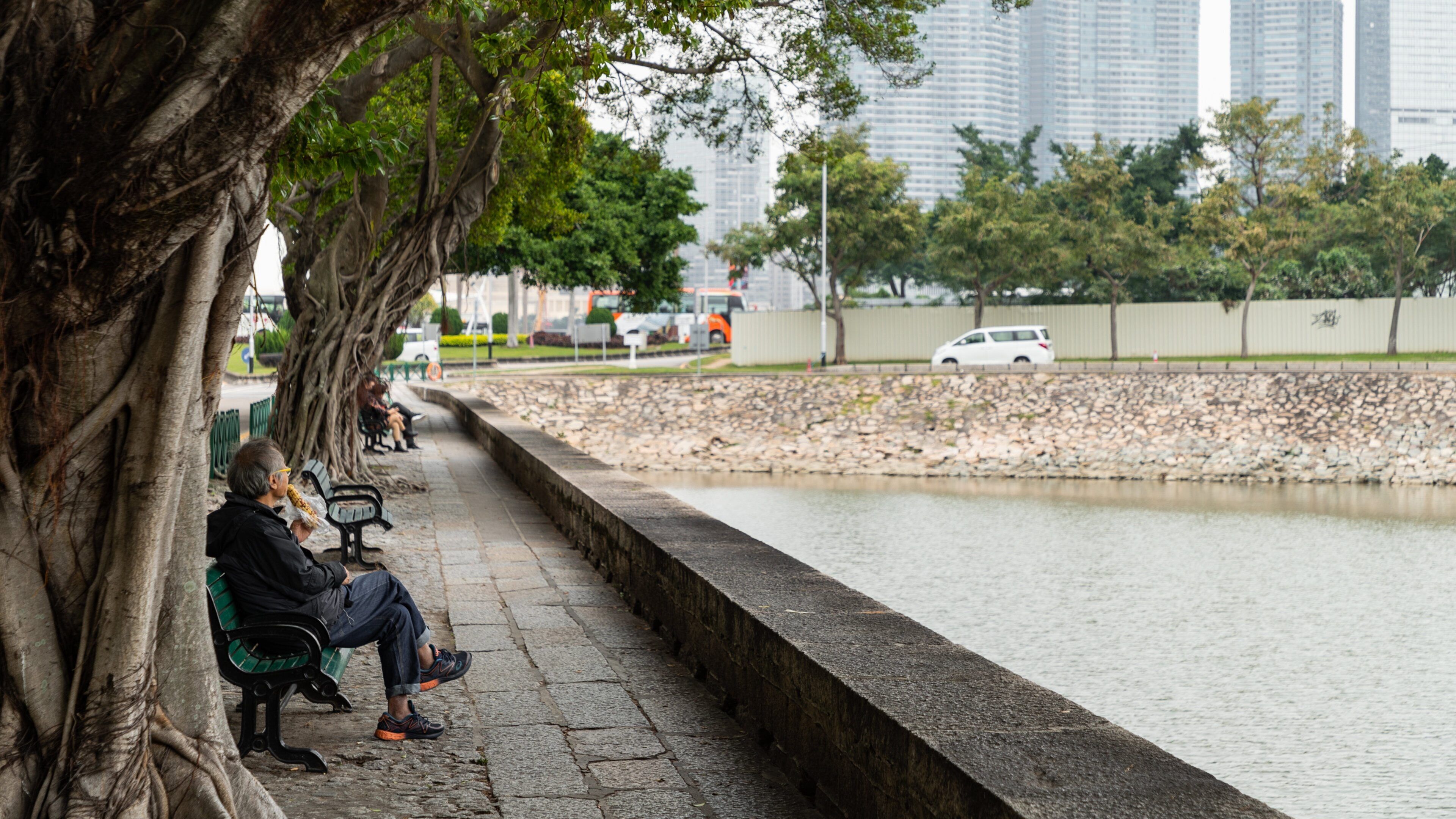 Avenida da República showing a river or creek and a park as well as a couple