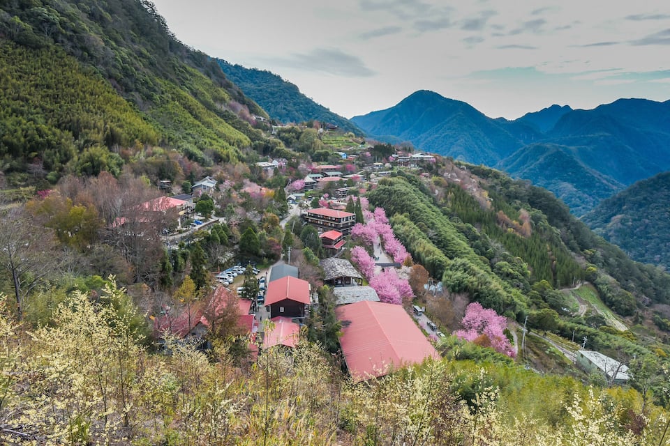 Un pueblo enclavado en un valle, rodeado de montañas, con casas de techos rojos y cerezos en flor.