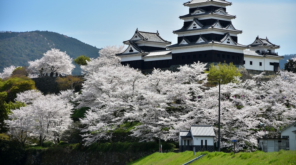 大洲城に咲く満開の桜