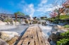 Beppu, Japan - Nov 25 2022: Oniishibozu Jigoku hot spring in Beppu, Oita. The town is famous for its onsen (hot springs). It has 8 major geothermal hot spots, referred to as the "eight hells of Beppu"