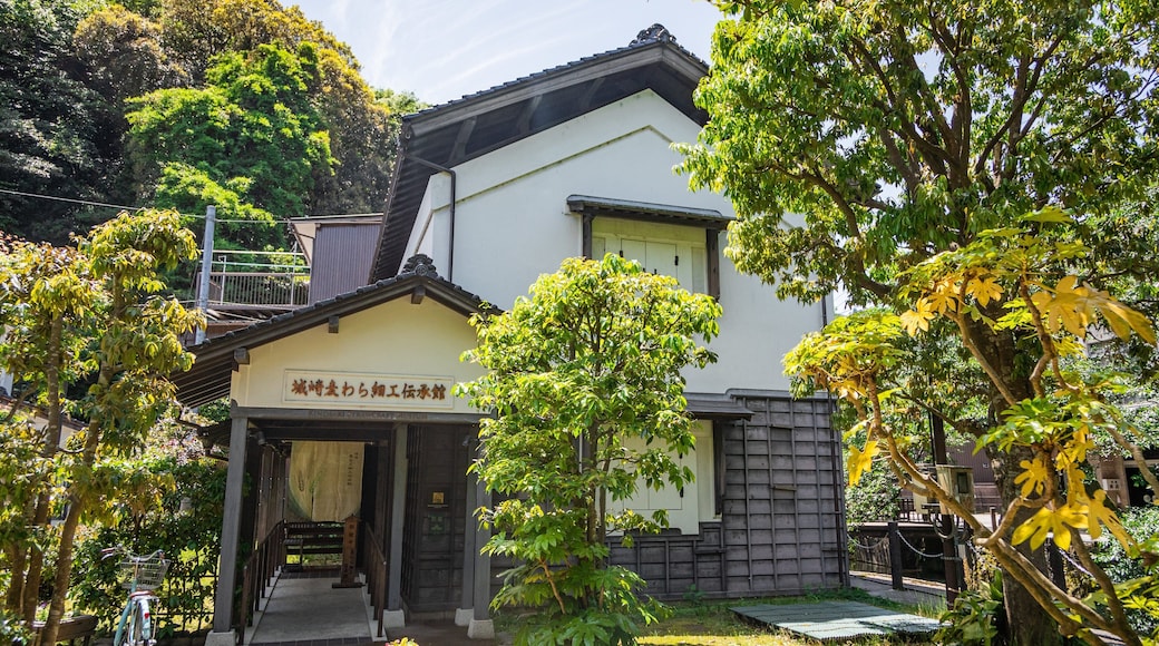 Kinosaki Mugiwarazaikudenshokan