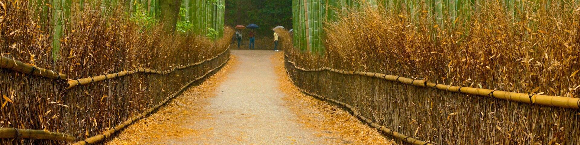 Kyōto which includes landscape views and forest scenes