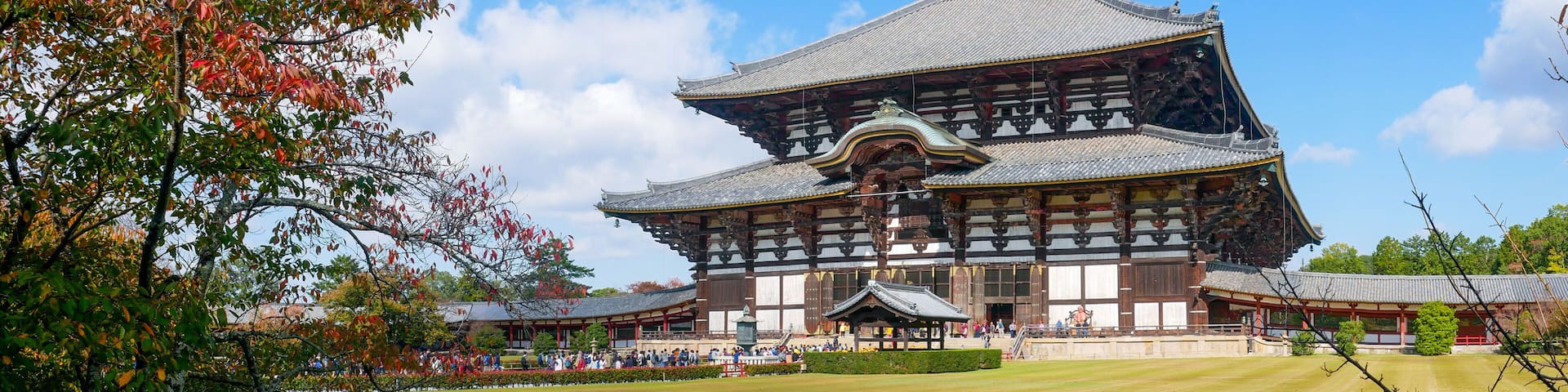 Todaiji Temple is a Buddhist temple complex, located in the city of Nara, Japan