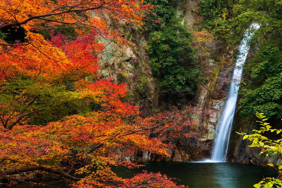 A waterfall surrounded by autumn foliage.