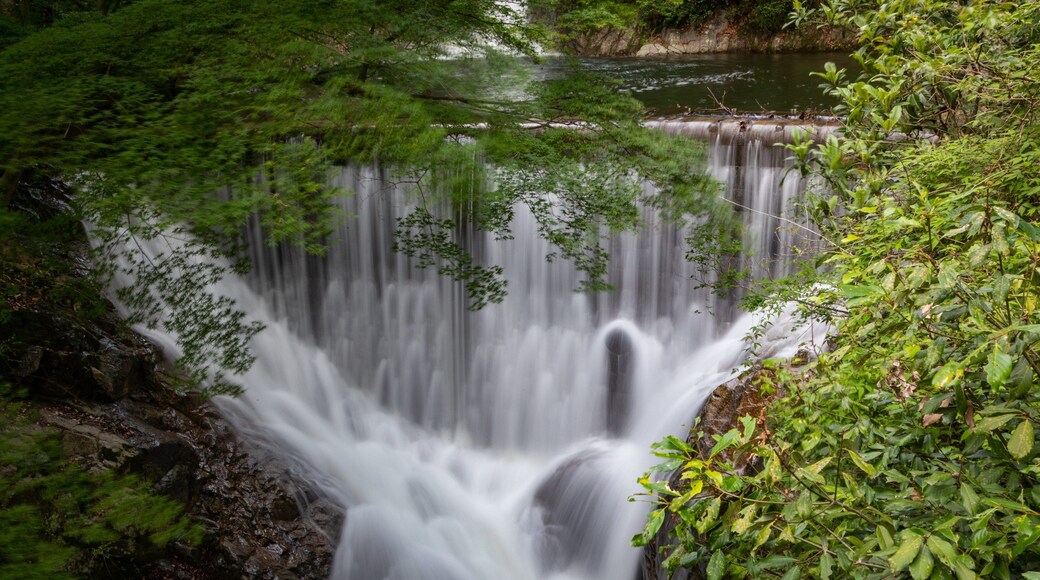Nunobiki Falls showing a waterfall