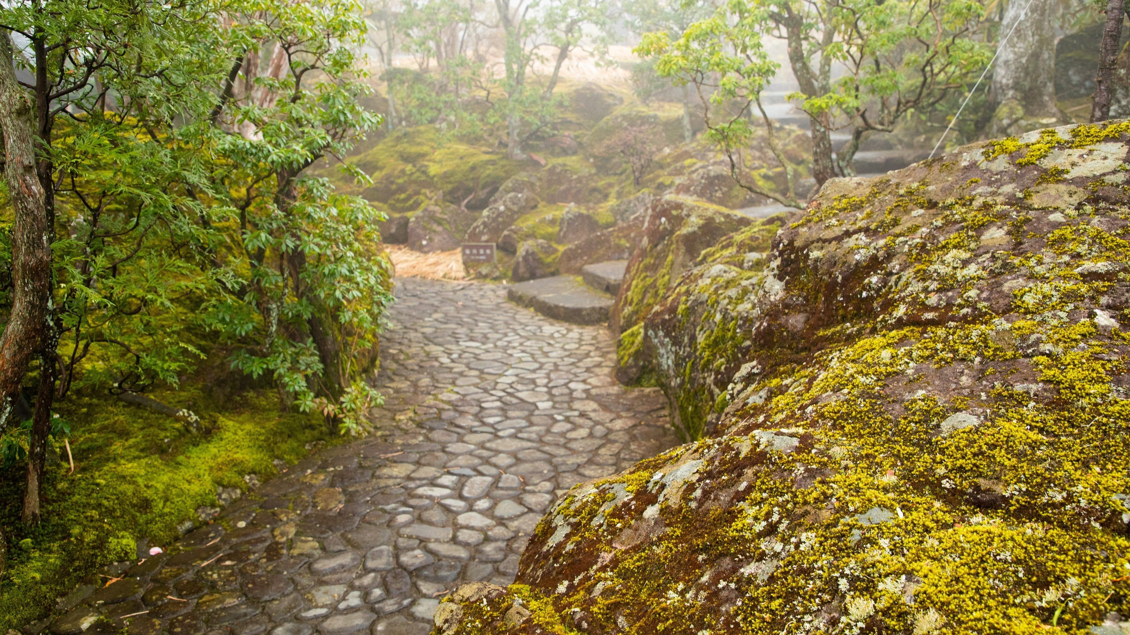 Hakone Museum of Art which includes a park