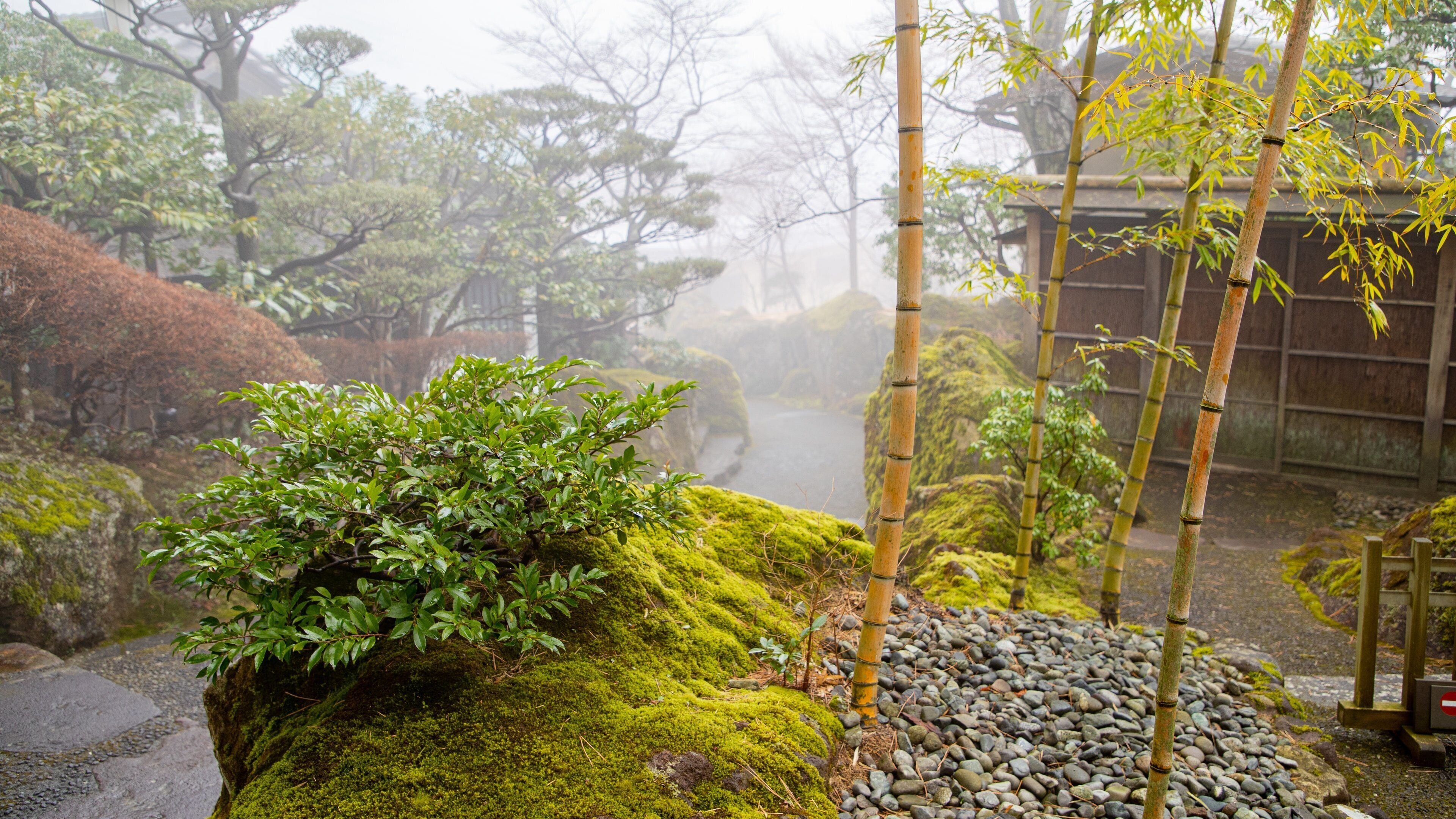 Hakone Museum of Art featuring a park and mist or fog