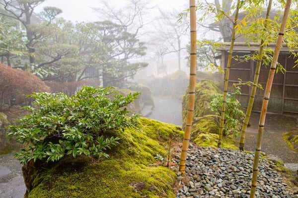 Hakone Museum of Art featuring a park and mist or fog