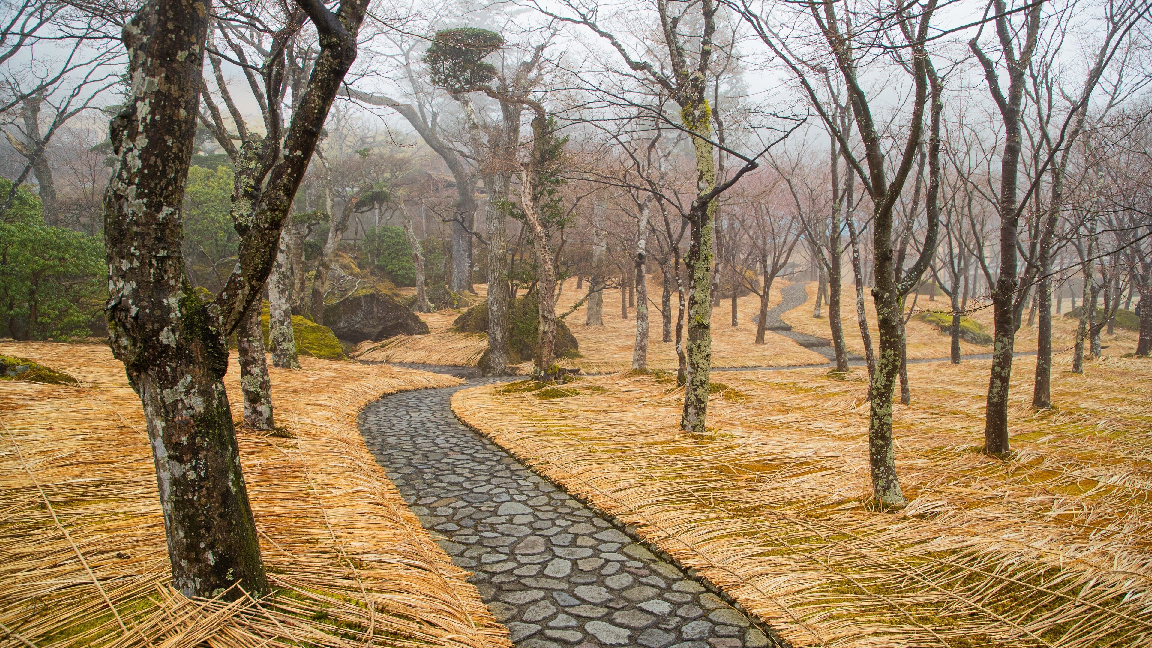 Hakone Museum of Art which includes a park