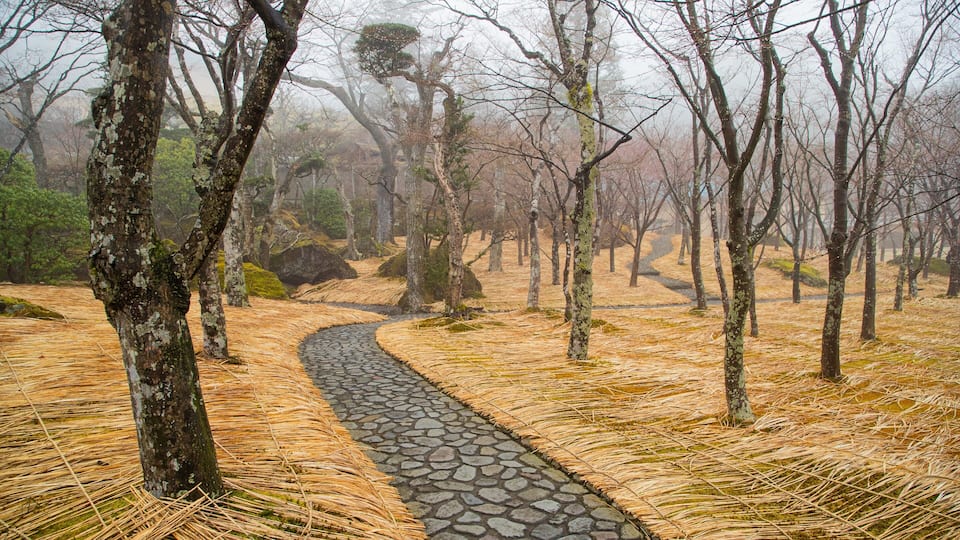 Hakone Museum of Art which includes a park
